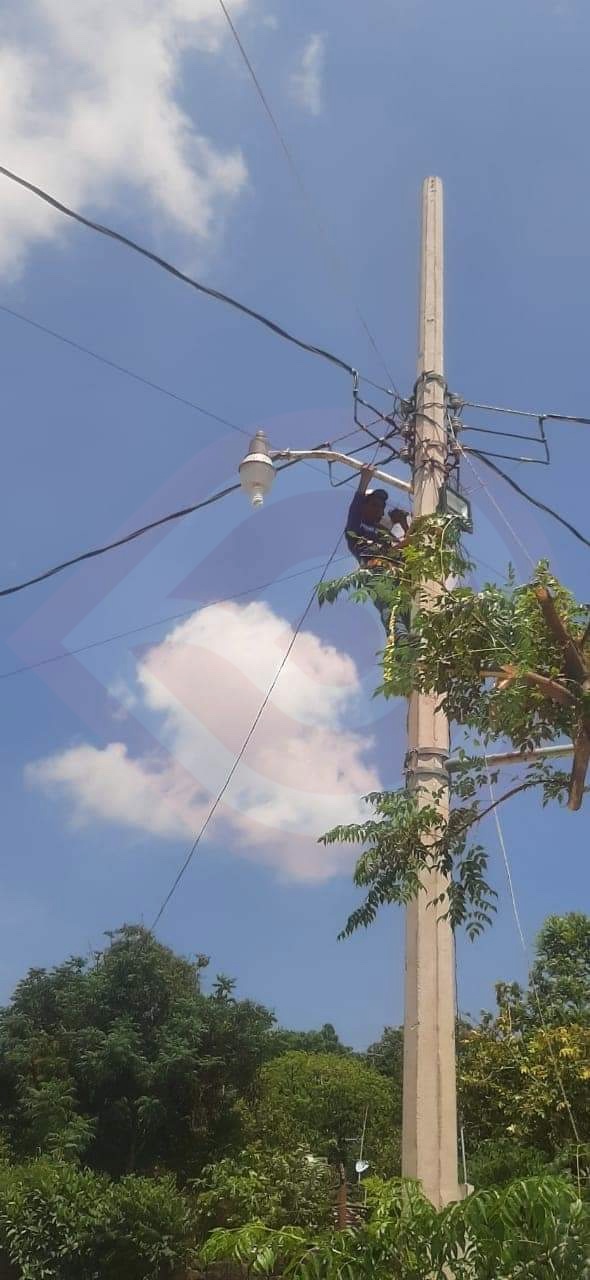 Continúa la reposición y reparación de luminarias Noticias de Hidalgo Zunoticia