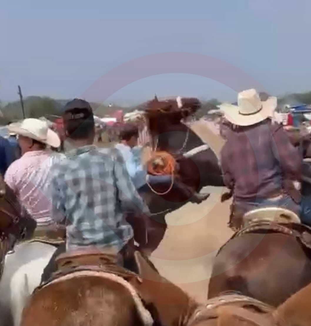 Momentos en qué, el caballo reparó en dos patas y tumbó al edil.