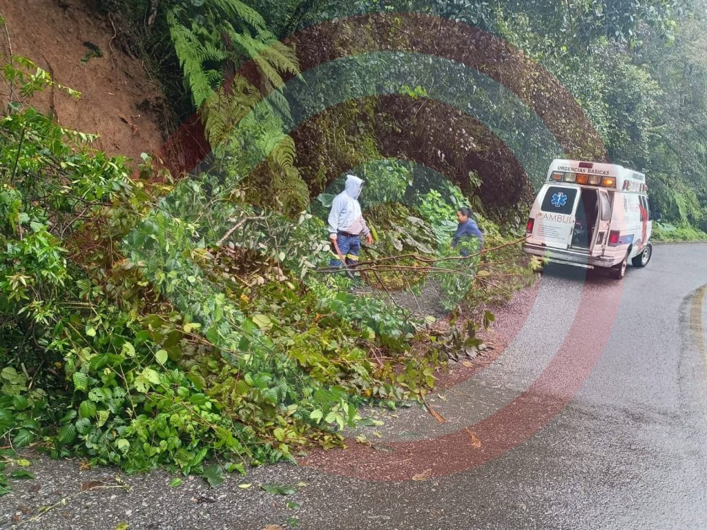 Entrega de apoyo y labores de limpieza realizó el grupo Halcones en Tlanchinol