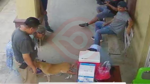 Exitosa jornada de vacunación antirrábica en Huitzitzilingo