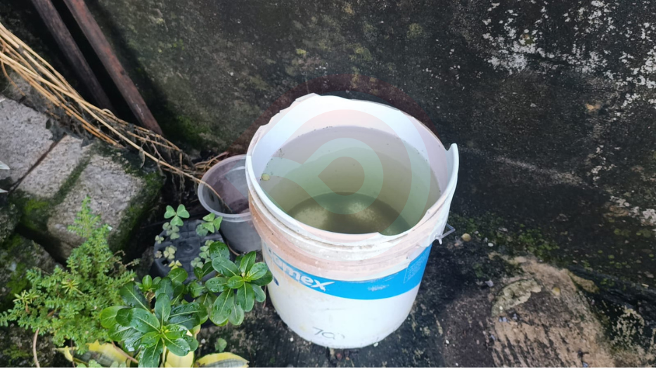 Por lluvia incrementa el riesgo de criaderos de dengue, piden reforzar medidas