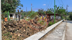 Polémica por mantenimiento al Parque Bugambilias