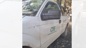 Dieron mantenimiento a líneas eléctricas