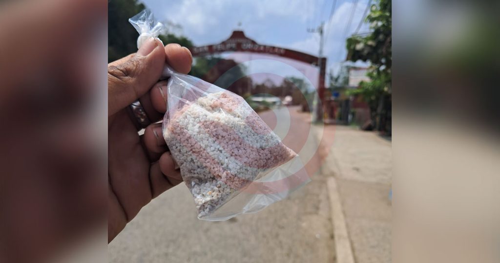 ​Brigadas intensifican operativos contra el mosquito transmisor