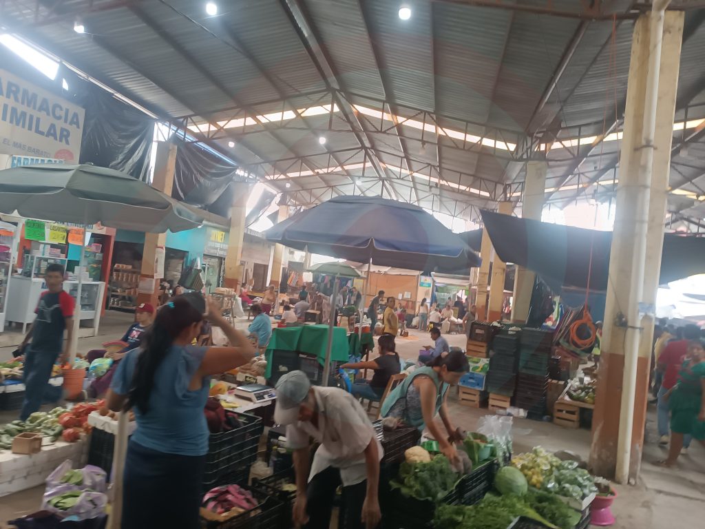 Tianguis dominical activo pese a lluvias de temporada