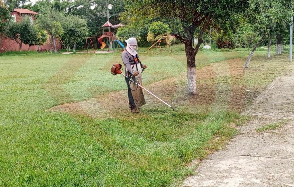 Por temporal lluvioso brindan mantenimiento a parques y jardines
