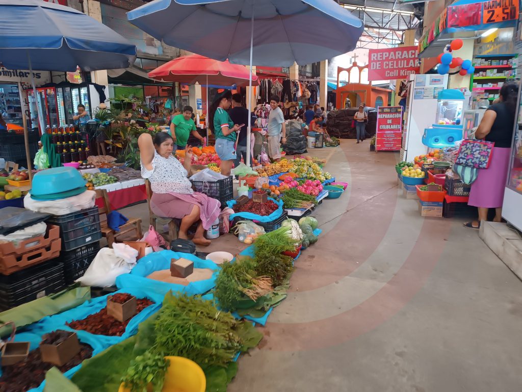 Huejutla, zona comercial regional por excelencia
