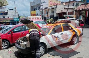 Se les apareció una víbora en un taxi