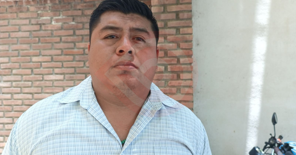 Sembrando Vida plantará más de 100 mil árboles maderables en la Huasteca