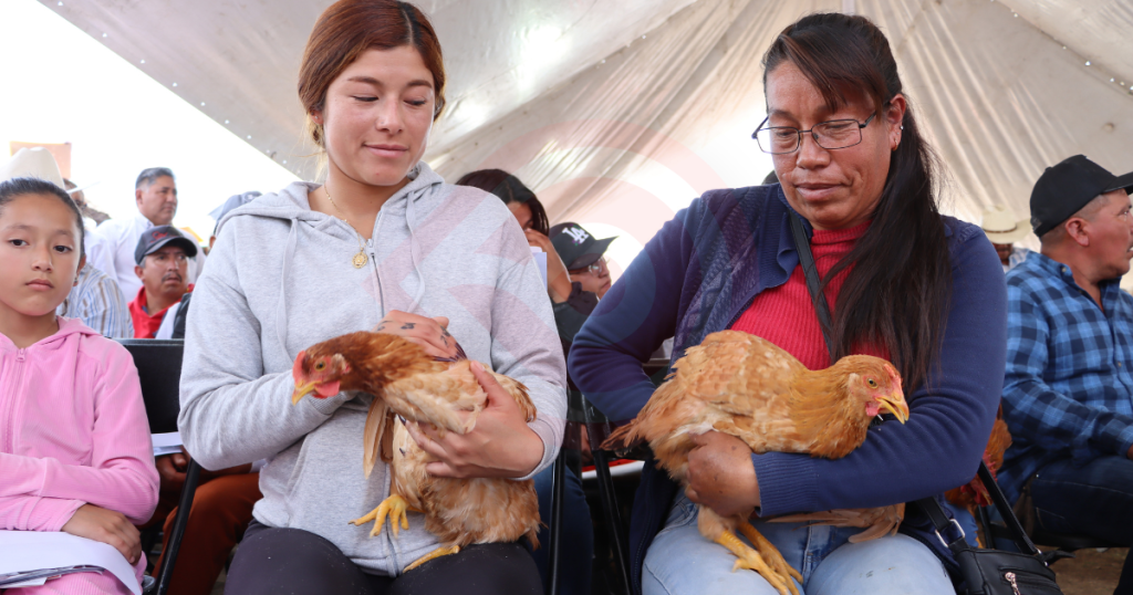 Gobierno de Hidalgo impulsa a las mujeres con más de 234.5 millones de pesos en apoyos rurales