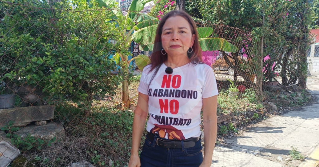 Con jornadas de esterilización, activista buscan frenar el maltrato animal