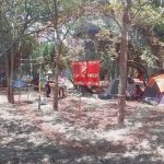Scouts de México llevó a cabo etapa local del torneo de vida al aire libre