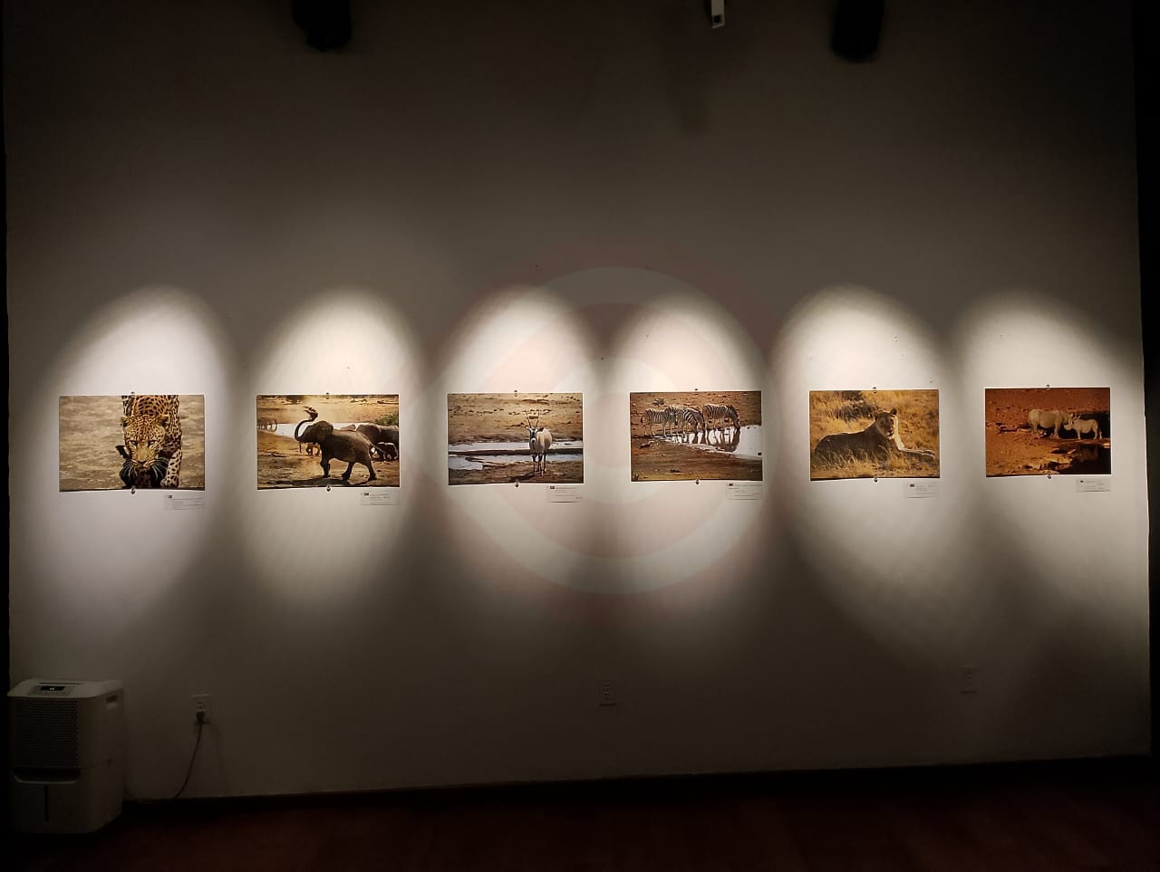 Tierra de Dunas Nómadas, exposición fotográfica que invita a luchar por los sueños