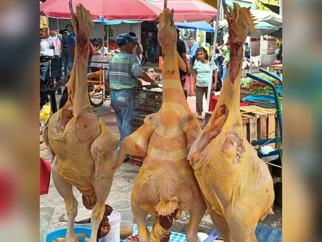 El kilo de pollo se mantiene entre los 70 y 75 pesos