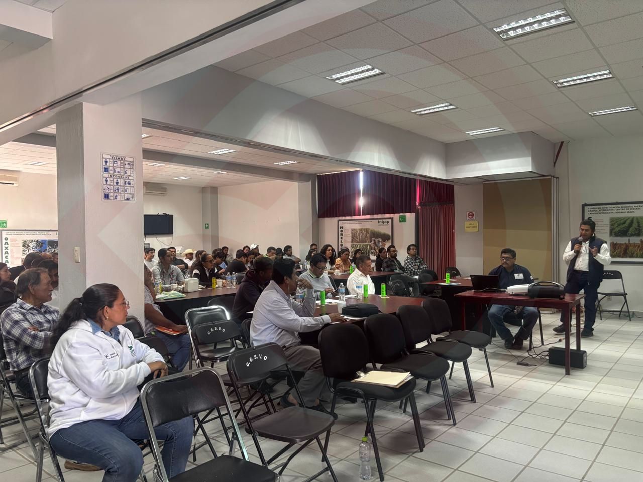Están en capacitación por parte de la Secretaría de Agricultura, para evitar que el gusano barrenador aparezca en el municipio.
