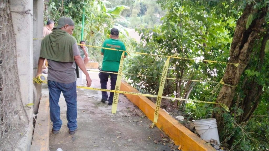 Supervisó PC árbol a punto de colapsar en colonia Estrella