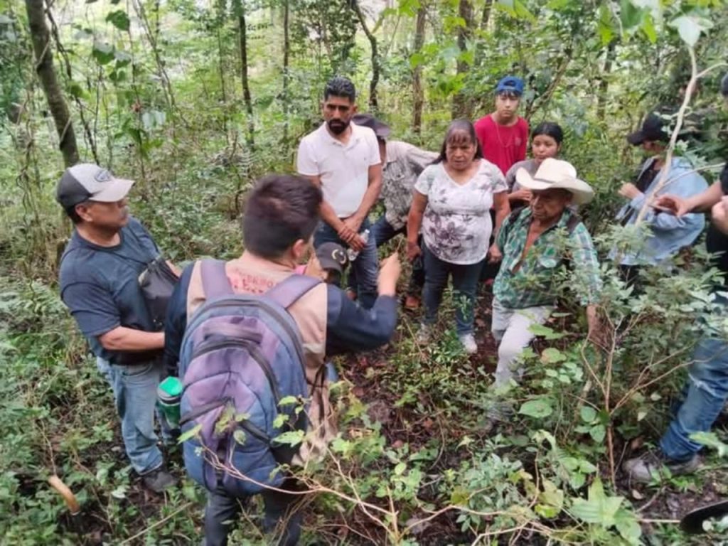 Sensibilizan y monitorean ante presencia de fauna silvestre en Xilitla