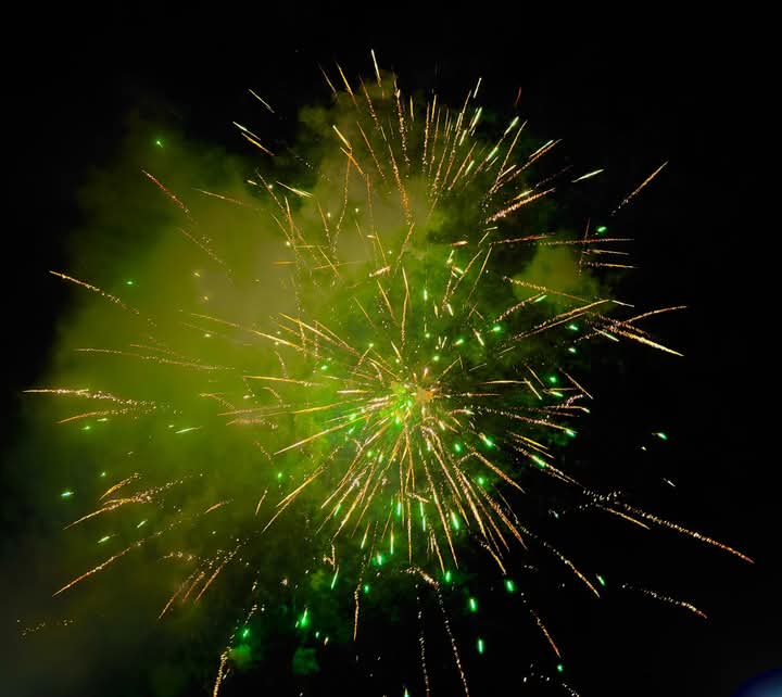Fiestas patrias transcurren en calma gracias a operativo de seguridad