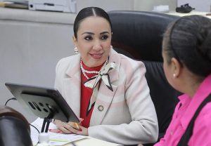 Los municipios de Matlapa, Tampacan y San Martin Chalchicuautla con riesgo de incendios forestales con mayor facilidad y frecuencia: Dip. Brisseire Sánchez López