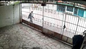 A plena luz del día, roban bicicleta de vivienda en la García Téllez; todo quedó grabado