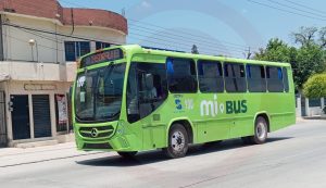 Desencantan las nuevas unidades del servicio urbano sin aire acondicionado