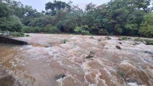 Rugen los arroyos, lluvias disparan caudales y activan vigilancia preventiva