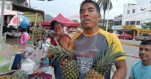 Productores de Sembrando Vida ahora ofrecen la piña miel