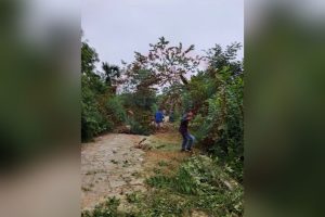 Limpian acceso a Tamaletom, para recibir a visitantes
