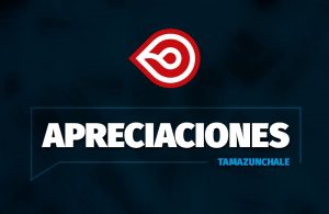 Apreciaciones Tamazunchale