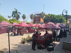 Sembradores invitan a consumir local y económico