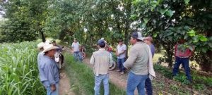 Capacitan a citricultores sobre estrategias de manejo y control de mosca prieta
