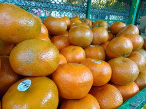 A 70 pesos el kilogramo se vende en el tianguis mandarina de Perú