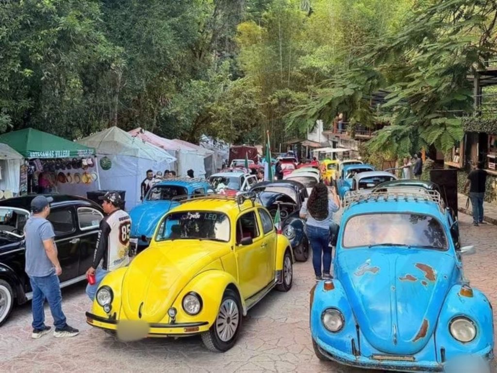 Vochos toman las calles de Xilitla en convivencia regional