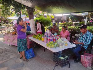Calor, falta de dinero y naranja escasa asfixian al comercio en Coxcatlán