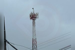 Falla masiva de telefonía e internet paralizan al municipio en domingo