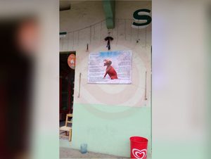 Familia Galván Medellín realiza homenaje a “Muñeca”, una perrita callejera que fue envenenada
