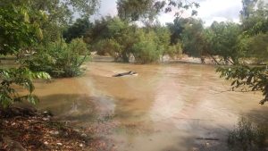 Río Axtla aumenta su cauce tras lluvias; PCM mantiene vigilancia