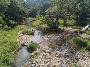 Lluvias dan respiro; arroyos recuperan su nivel y renace la esperanza