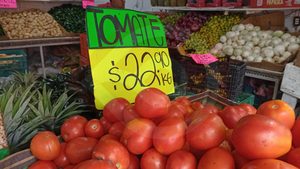 Debido a lluvias en el país, prevén fluctuación en precios de verduras