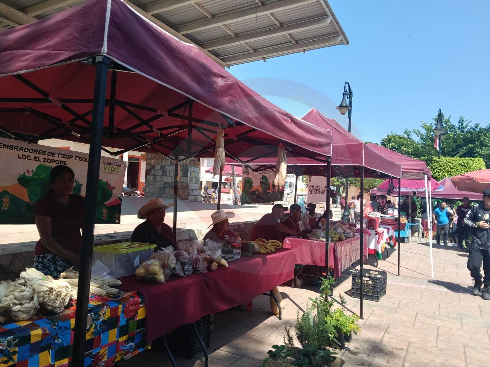 Solicitarán permiso de instalación para el sábado o los días de tianguis de Día de Muertos, beneficiarios del programa Sembrando Vida