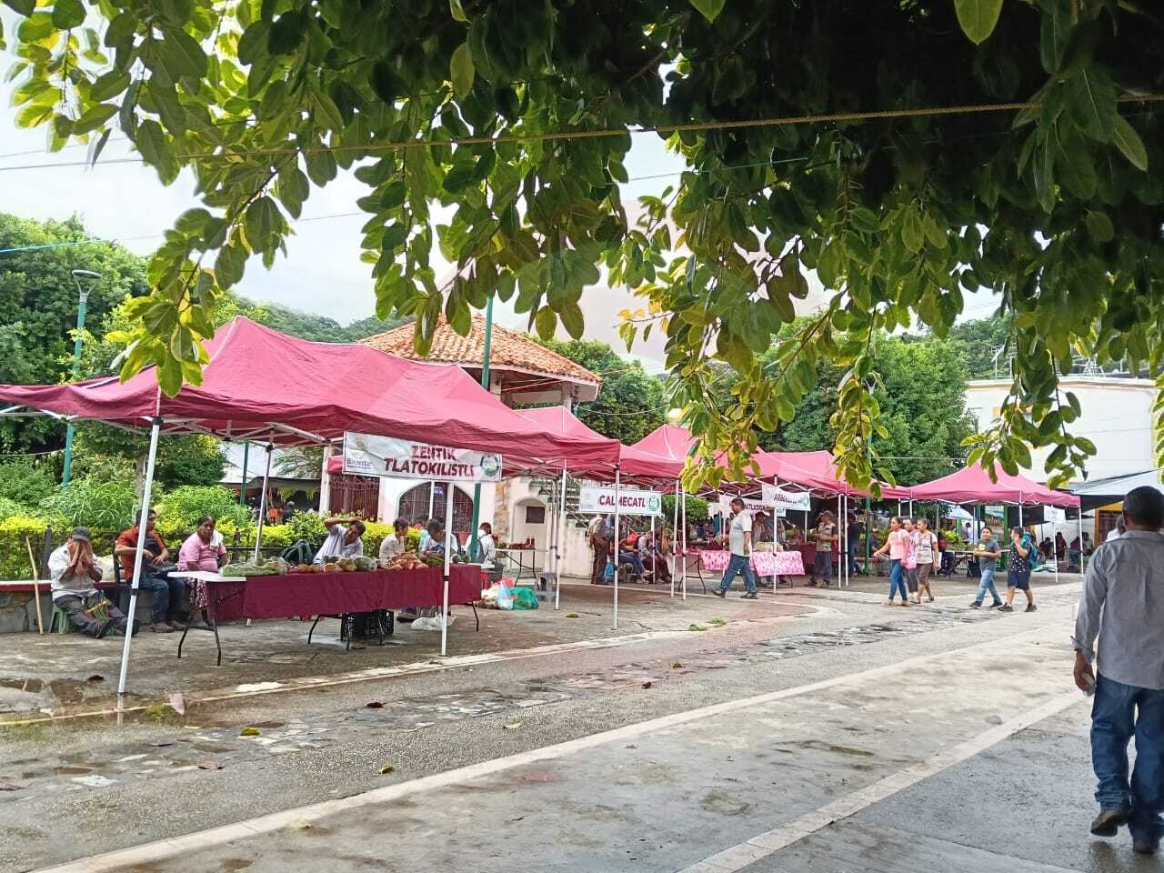 Productores del programa Sembrando Vida se integran al comercio xantolero