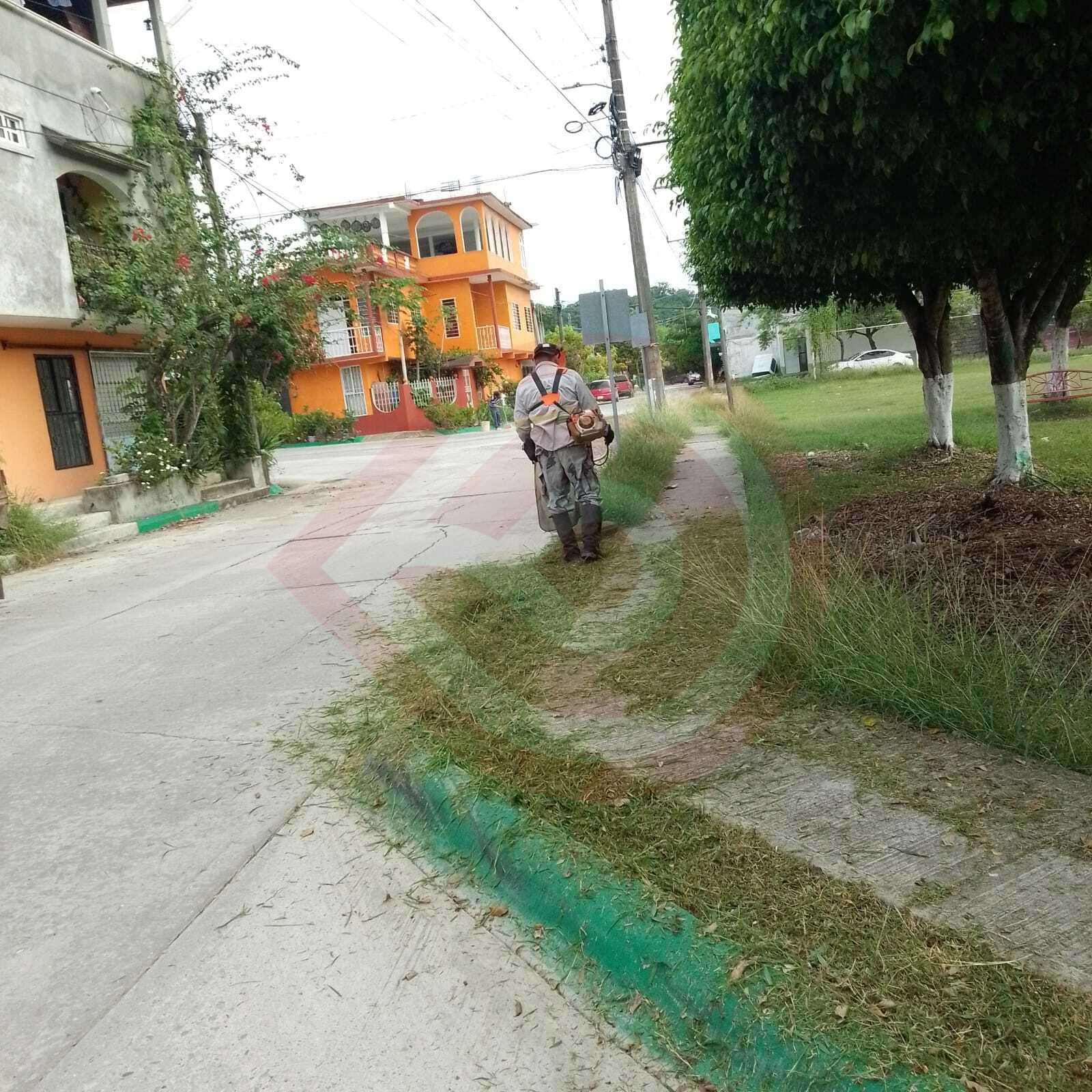 Limpieza y mantenimiento de áreas verdes llega a la colonia loma bonita