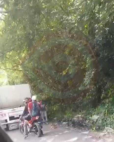 Camión de carga sufre percance sobre la México-Laredo