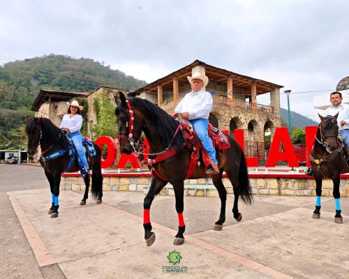 2Jaripeo