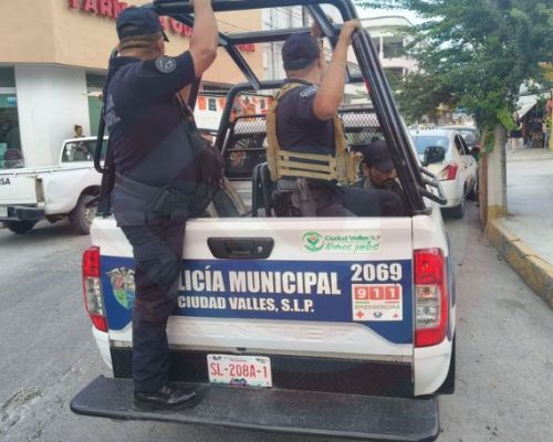 ACOSADOR ACOSADOR