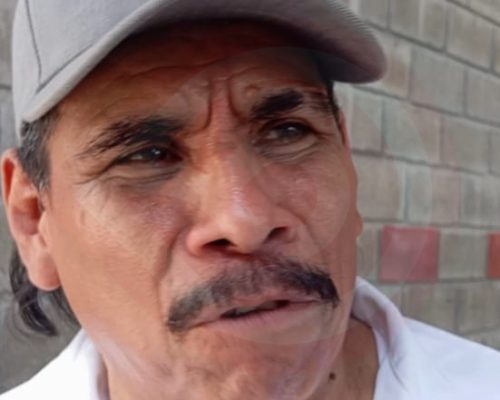 Asesinaron venado