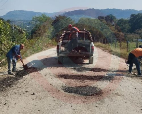 BACHEO (1) BACHEO (1)