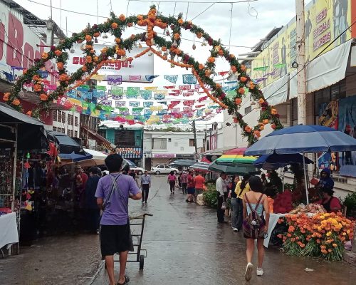 BASURA (2) BASURA (2)