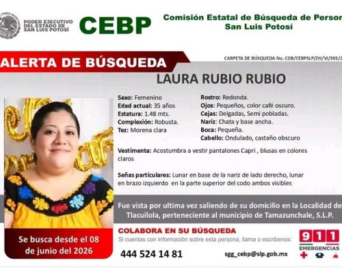 COMISIÓN DE BÚSQUEDA