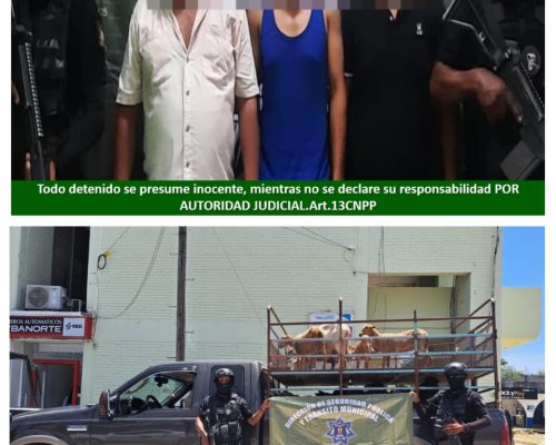 GANADO